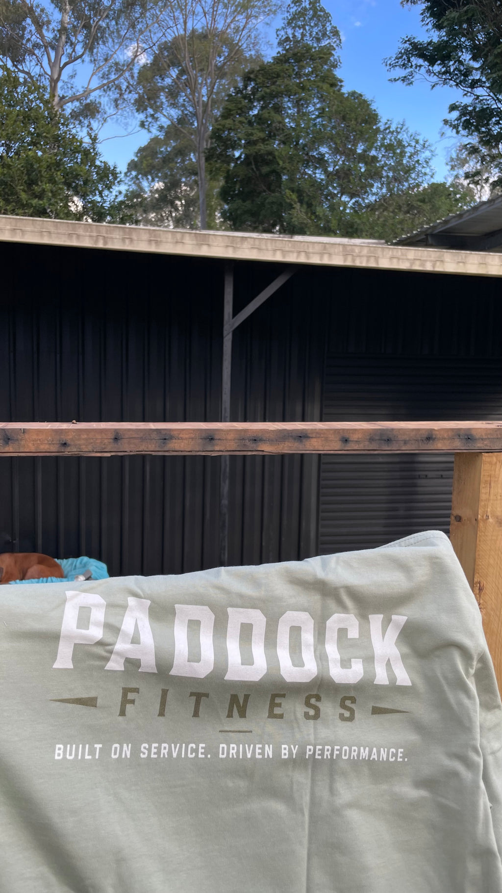 Paddock Fitness Mens Classic Tee